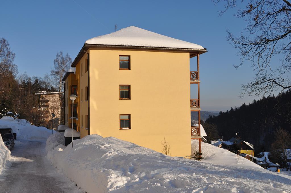 Apartman Kamila Janske Lazne Δωμάτιο φωτογραφία